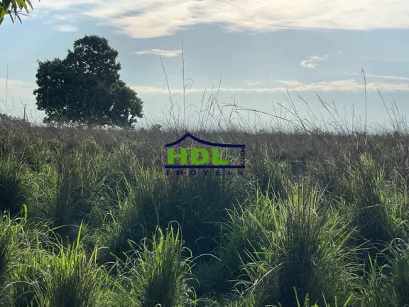 Imagem Fazenda 230 Alqs em Natividade do Tocantins