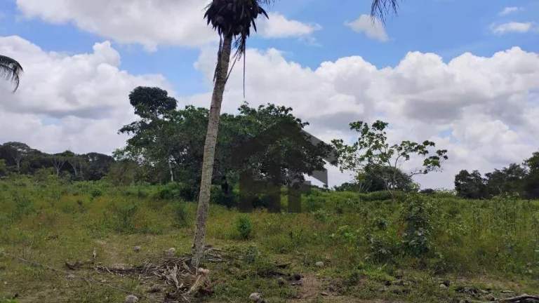 Imagem Terreno à Venda, 5.000 m² em Centro - Paudalho