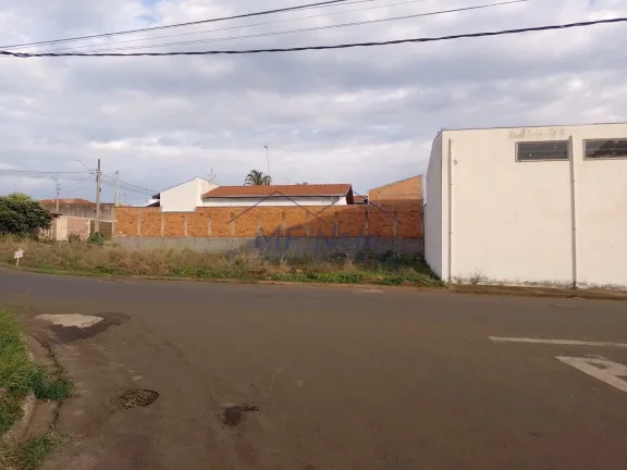 Imagem Terreno Padrão
