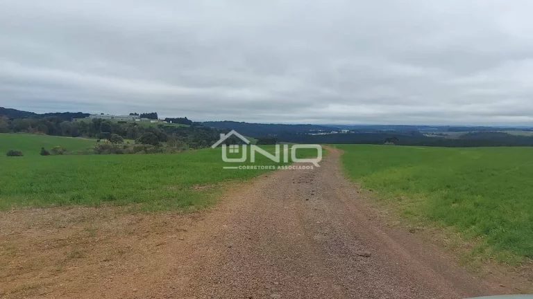 Imagem Fazenda de 47 Alqueires em Palmas - PR