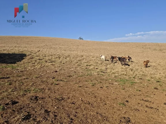 Imagem Fazenda a venda Capão Bonito SP