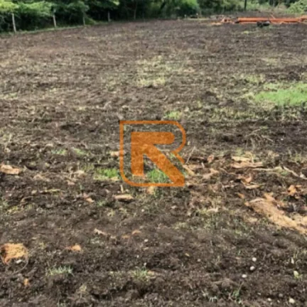 Imagem Sua Oportunidade de Investimento em Formosa-GO