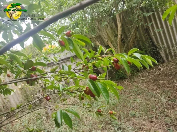 Imagem CHACARA EM IBIÚNA A VENDA