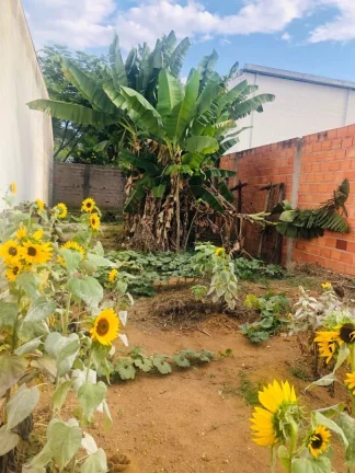 Imagem Terreno para alugar, 150 m² por R$ 1.571,73/mês - Residencial Bosque dos Ipês - São José dos Campos/SP