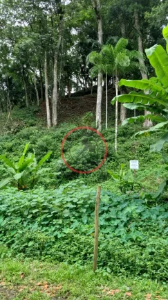Imagem Terreno 411.38 mt