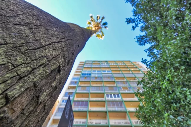 Imagem Apartamento à venda em Porto Alegre, Independência, com 4 quartos, 221,85m2