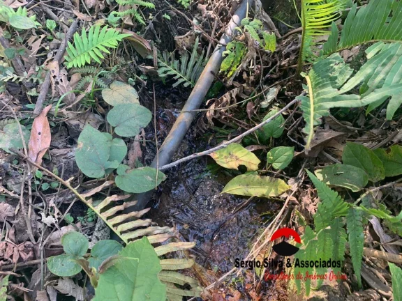 Imagem Terreno a Venda no Bairro do Centro em Piranguçu - MG.