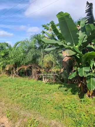 Imagem FA-25257 - FAZENDA À VENDA EM SETE BARRAS-SP