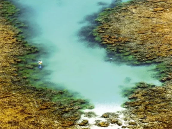 Imagem PRAIA DO FORTE - CONDOMÍNIO PISCINAS NATURAIS: Lotes nos condomínios: Tartarugas 630,00m2 e Jacarandás 544,00m2 - valores R$2.000.000 e R$2.500.000,00