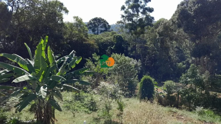 Imagem Sítio para Venda em São Roque, Sorocamirim (canguera), 2 dormitórios, 1 suíte, 3 banheiros, 2 vagas