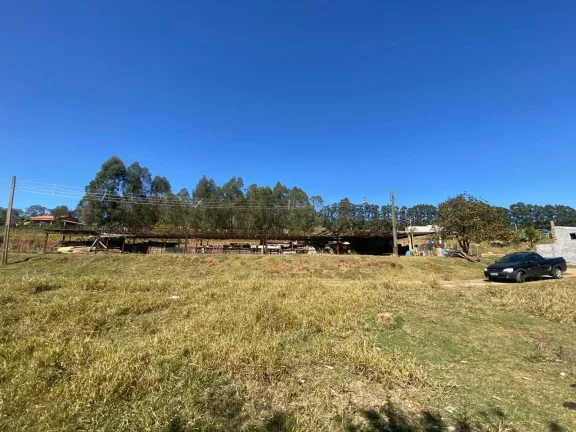 Imagem Terrenos planos de 1000m² no Menim