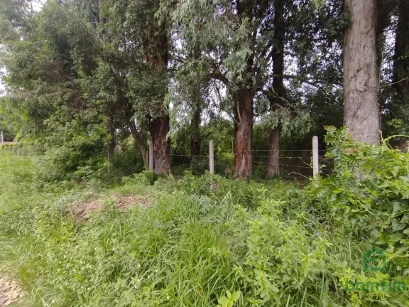 Imagem Terreno para aluguel, Ponta Grossa, Porto Alegre/RS. - TE2520