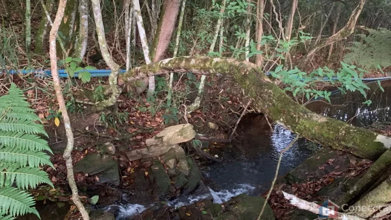 Imagem Sítio à Venda na Comunidade Caixetas – Guimarânia-MG | 11,9 Hectares com Casa de 186m² – R$ 700 Mil