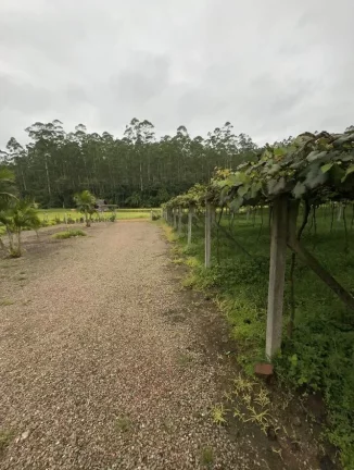 Imagem Lindo Sitio em Santa Catarina - Ascurra