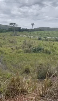 Imagem Fazenda à Venda, 11.470.800 m² em Zona Rural - Paranã