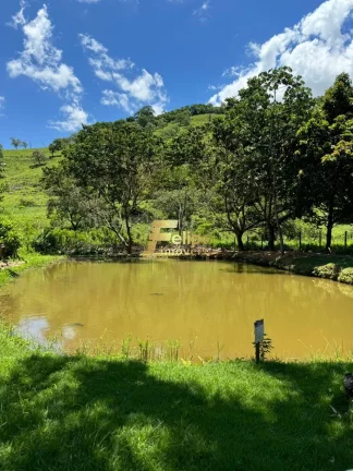Imagem Linda propriedade à venda!