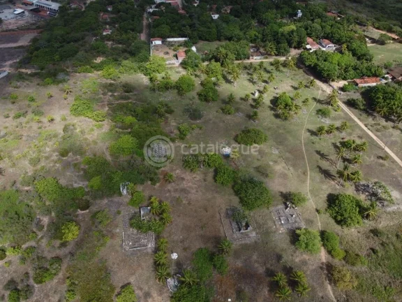 Imagem Área na BR - 101 - Em São Gonçalo do Amarante 6,8 Ha
