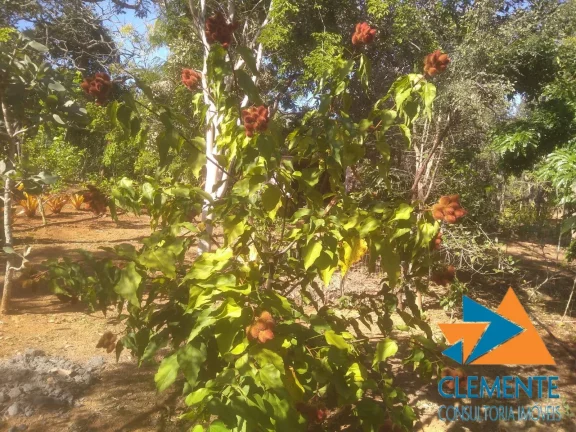 Imagem LOTE 1.000 COM PROJETO CONDOMINIO FECHADO ESTANCIAS DA MATA LAGOA SANTA/JAB