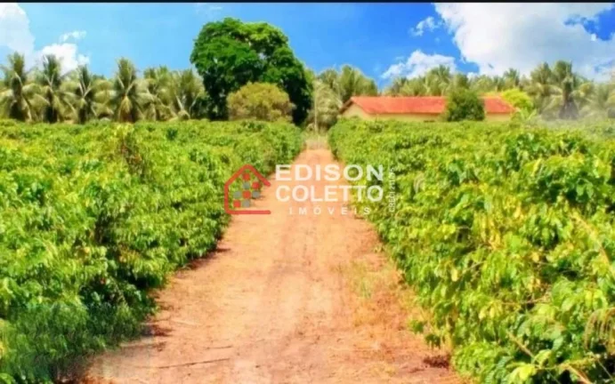 Imagem Fazenda/Sitio, Residencial/Comercial para Venda, Centro, Caraiva