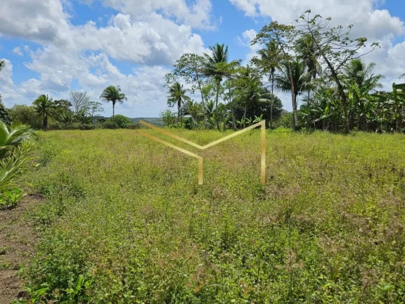 Imagem Sítio ideal para quem quer investir ou desfrutar de um lugar em contato com a natureza!