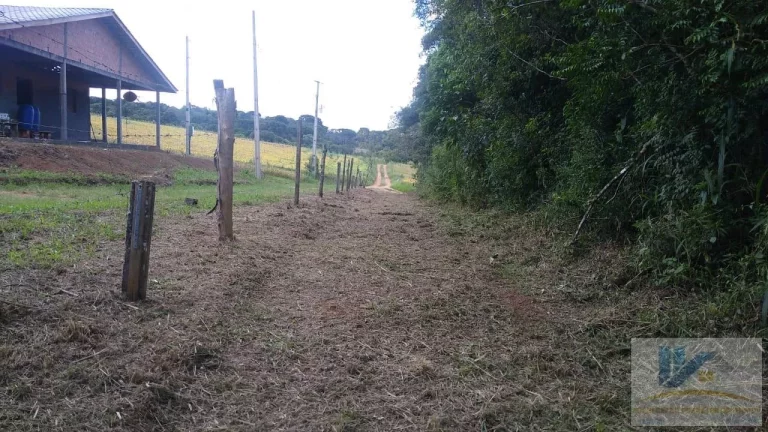 Imagem Terreno para Venda em São José dos Pinhais, Campestre da Faxina