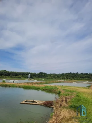 Imagem Sítio Produtivo de 5 alqueires, 7 tanques, em São Miguel do Iguaçu PR