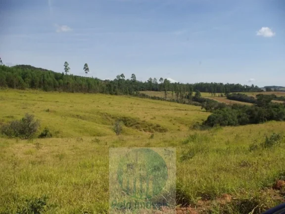 Imagem SÍTIO A VENDA 12,5 ALQUEIRES a R$ 88.000 o Alqueire, JACUÍ - SUL DE MINAS GERAIS, para gado, milho, soja.