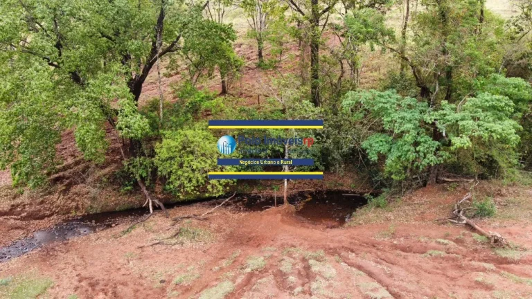 Imagem Fazenda 181 hectares montada para criação de bovinos até 220 cabeças e planta café, próximo de Altinópolis - São Paulo.