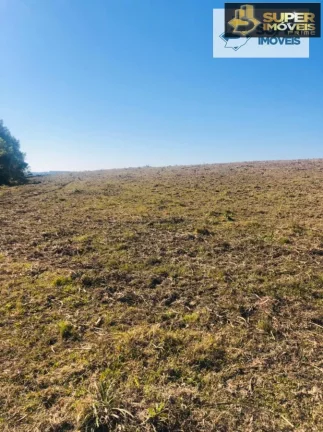 Imagem Fazenda para Venda em Herval-RS 288 hectares