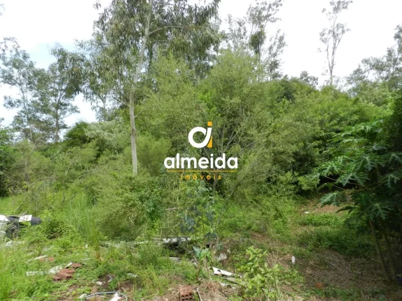 Terreno à venda Pé de Plátano Santa Maria/RS