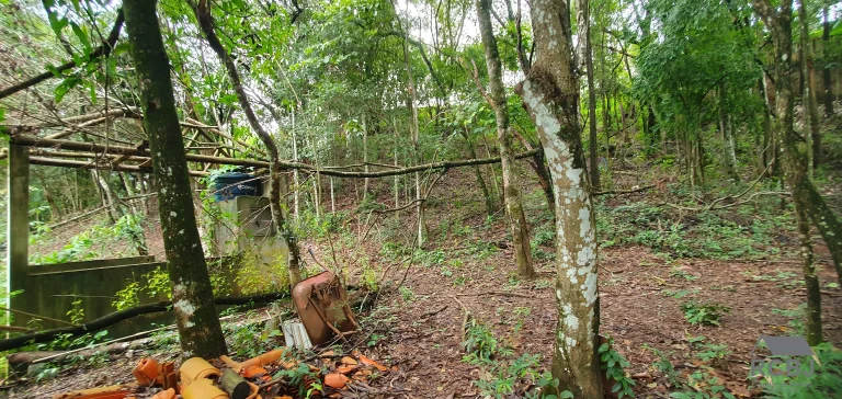 Imagem SITIO COMERCIAL em ESMERALDAS - MG, TURMALINAS