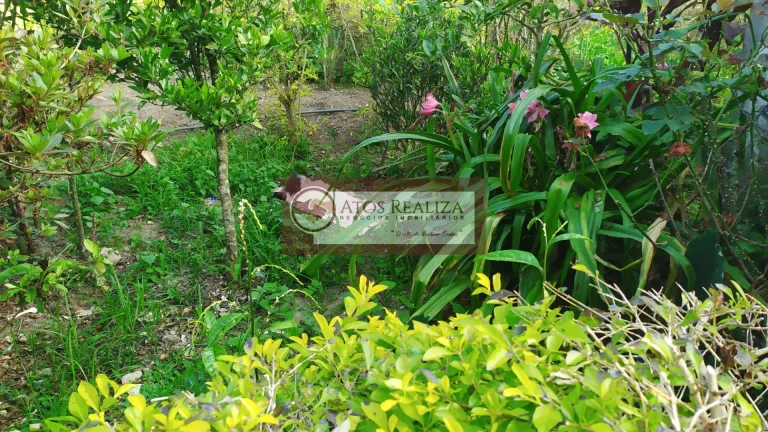 Imagem Compre Rancho/ Chácara em Jardim Santa Tereza - São Paulo