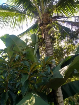 Imagem SITIO EM MIRACATU COM PISCINA E TANQUES DE PESCA