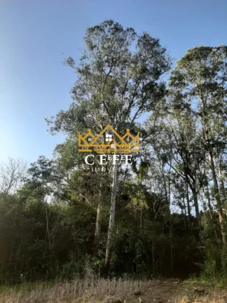 Imagem Chácara - Sítio com 2 Dormitorio(s) localizado(a) no bairro Zona Rural em São Francisco de Paula / RIO GRANDE DO SUL Ref.:1345