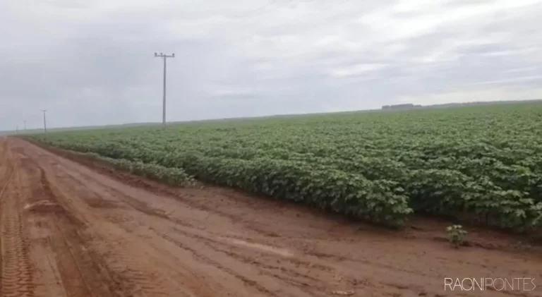 Imagem Fazenda à Venda, 34.060.000 m² em Zona Rural - Novo São Joaquim