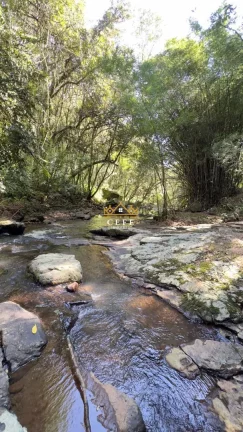 Imagem Chácara - Sítio com 2 Dormitorio(s) localizado(a) no bairro São Jacó em Nova Petrópolis / RIO GRANDE DO SUL Ref.:1511