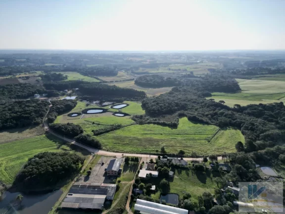 Imagem Terreno para Venda em São José dos Pinhais, Campo Largo da Roseira