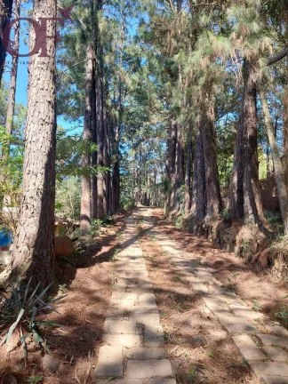 Imagem Excelente área com 26.000m² - Bairro Nova Era - Itupeva - SP