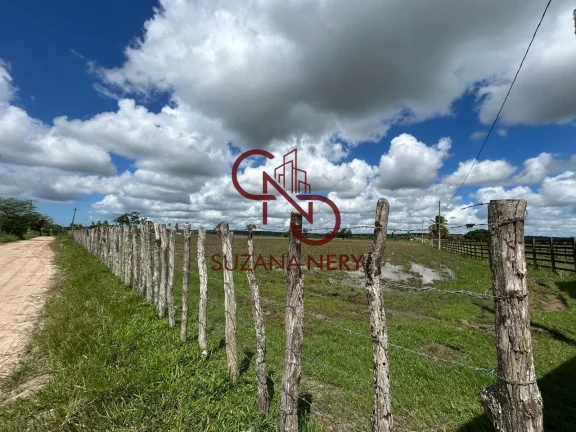 Imagem Área á venda em Nísia Floresta com 37 hectares excelente para viveiro de peixe e camarão
