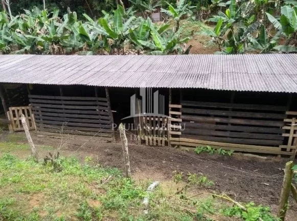 Imagem Chácara 13.000m², 6.000 Limpo, 2 Dorms 1 Suíte, Cachoeira pequena, Lago com peixe, Murada, Baia, Canil, 100 pés de Banana em Santa Rita do Ribeira, Miracatu-SP
