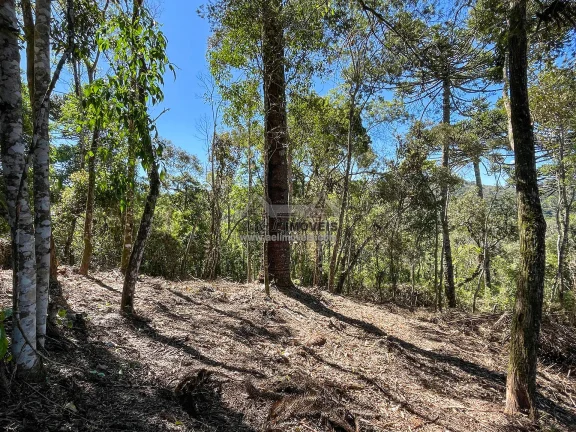 Imagem Terreno à venda em Campos do Jordão - Excelente opção para investimento