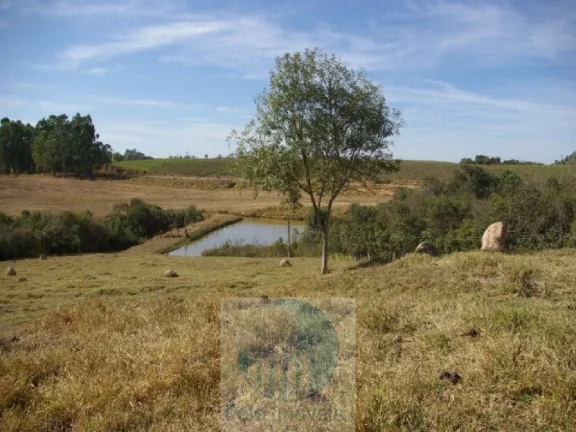 Imagem SÍTIO A VENDA 66,5 HECTARES para GRÃOS E GADO, JACUÍ MG