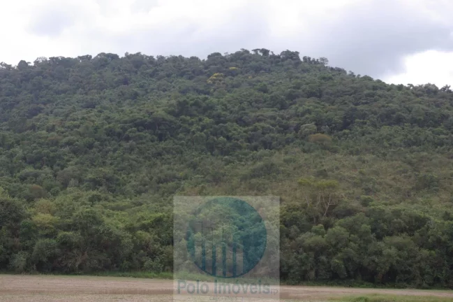 Imagem Sitio 8,23 alqueires ou 19,93 ha para compensação de Reserva, R$ 60 mil o alqueire - Jacuí - Minas Gerais.