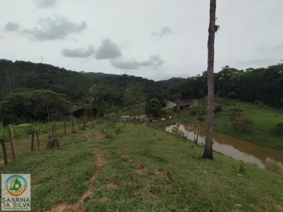 Imagem Sítio - Belchior Baixo - Gaspar
