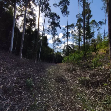 Imagem Área Rural, Terreno Rural, Chácara, Sítio, Pirabeiraba
