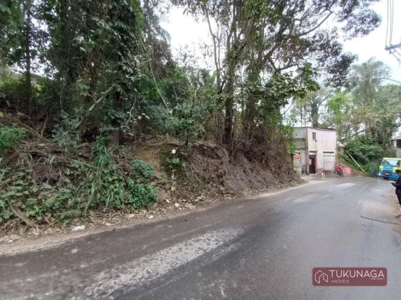 Imagem Terreno à venda, 9000 m² por R$ 8.000.000,00 - Três Cruzes - São Paulo/SP