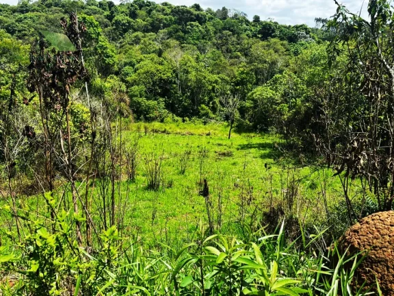 Imagem Sitio com 36.000m2 e com nascente a venda por R$ 480.000,00 - Sabaúna - Mogi das Cruzes/SP