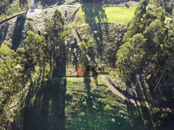 Imagem Sítio à venda, 200000 m² por R$ 2.500.000 - Rio do Engano - Urubici/SC