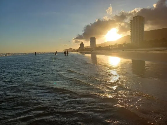 Imagem Maravilhoso Apartamento 1 Quarto à Venda na Vila Tupi, Praia Grande