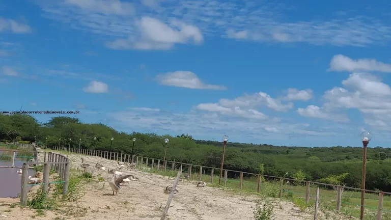 Imagem Terreno em Condomínio para Venda em Macaíba, Área Rural de Macaíba